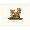 Earth Sky + Water - Red Fox Kits Notecard Set