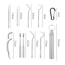 9 Pieces of Metal Toothpicks, 1 Piece of Carabiner, Stainless Steel Toothpick Set, Convenient Toothpicks, Reusable, Tooth Cleaning Tool