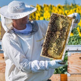 Roysmart Goat Leather Beekeeper Gloves, Beekeeper Protective Gloves with Long Sleeves, Work Gloves for the Garden, Breathable Beekeeping Gloves for Men and Women, Beekeeping Accessories (White)