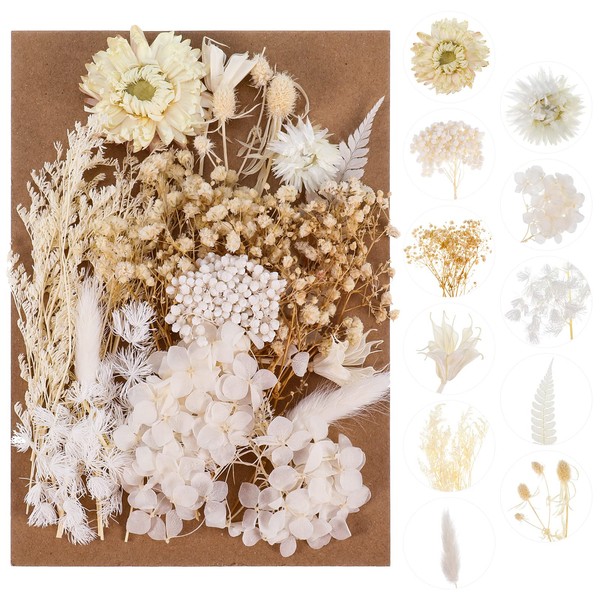 AhlsenL Real Dried Flowers, Natural Dried Flowers Mixed, Hydrangeas, Daisies, Natural Pressed Flowers White Decorative Dried Flowers for DIY Candle Resin Jewelry Nail Pendant Crafts Making(Beige)
