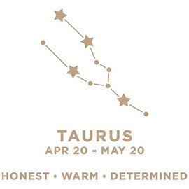 Glimmer HOT FOIL Plate Taurus, Metal