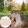 20 Pcs Copper Nails for Killing Trees, Stumps & -