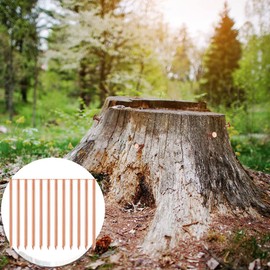 20 Pcs Copper Nails for Killing Trees, Stumps & - 3.5 Inch Long Come with 1 Steel Nails and 1 Drill Nail