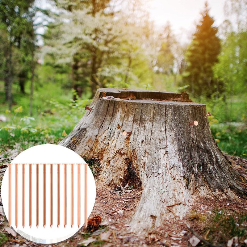 20 Pcs Copper Nails for Killing Trees, Stumps & -