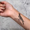 4 x 'Dove on Rock' Temporary Tattoos - Water Resistant,