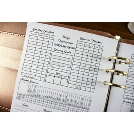 A5 Size Planner Monthly Budget at A Glance, A5 Ring Binder Planner Budget Organization, A5 Size Bill Pay, Expense Tracker, Possible Expenses