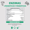Enzimas Digestivas + Probióticos | Contiene 7 Enzimas Digestivas +