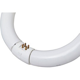 GE 11084 Circline 22-Watt, T9 Circline 1400-Lumen Light Bulb with 4-Pin Base, 1-Pack