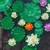 WhistenFla Floating Lily Pads for Ponds, 6Pcs Realistic Lily Pads