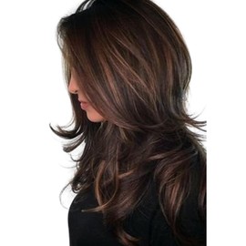 karim Wig, Long Highlight, Mesh, Brown, Full Wig, Women's, Small Face, Natural Wig, Heat Resistant, Wolf Cut, Long Hair, Everyday, Cosplay, Kakiage (Dark Brown)