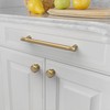 Asidrama 10 Pack 7.5 Inch(192mm) Champagne Bronze Kitchen Cabinet Handles,
