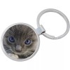 Kitten Cat Photo Keychain - Includes 1.25 Inch Loop for