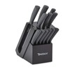 Hampton Forge Tomodachi HMC01B612L Raintree Ash – 13 Piece Knife