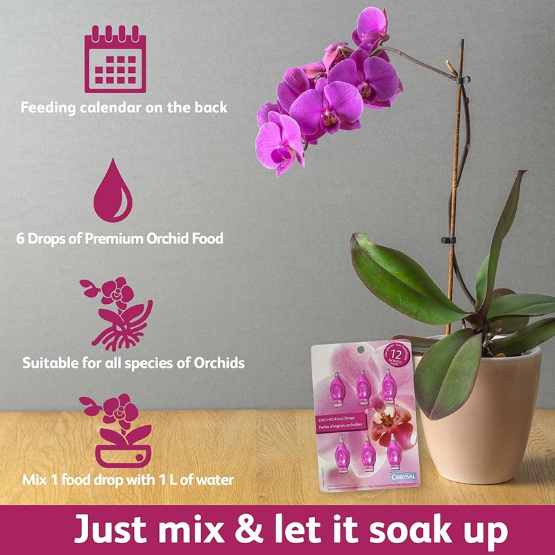 Chrysal Orchid Food Drops — Orchid Care — One Pack