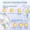 Probiotic Paste for Dogs & Cats | Dog Diarrhoea Treatment