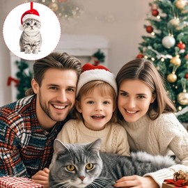 SICOHOME Grey Tabby Cat Christmas Ornament - Lovable Acrylic Tabby Cat Ornament for Christmas Tree Tabby Cat Christmas Decor Indoor Car Mirror (2D)