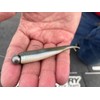 YUM FF Sonar Minnow - Houdini Shad - 4"