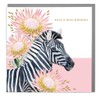 Zebra - Have a Wild Birthday Card with Grey Envelope