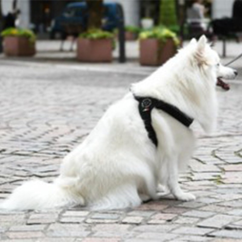 Tre Ponti Fibbia Adjustable Type Soft MESH Soft Mesh Adjustable