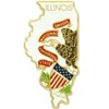PinMart Illinois Shape Flag Lapel Pin – Complete United States