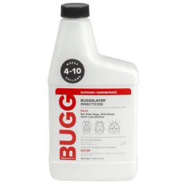 BUGGSLAYER Insecticide - Concentrate - Outdoor Box Elder Bugs, Stink Bugs, Asian Lady Beetles - 16 oz Bottle