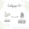 Cordyceps Sinensis Vegavero® | 650 mg (10:1) CS-4 Extract 40%