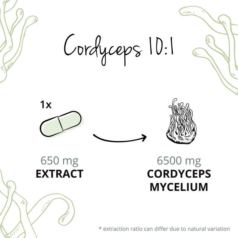 Cordyceps Sinensis Vegavero® | 650 mg (10:1) CS-4 Extract 40%