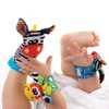 Playgro Bath Toy Set multicoloured