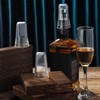 Pour Spout Covers Translucent Liquor Pourer Covers Universal Bottle Pour