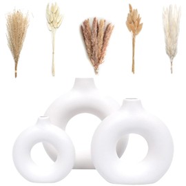 VELOVA VELOVA Set of 3 White Ceramic Vase with 65 PCS Dried Pampas Grass Flowers Aesthetic Boho Modern Small Round Cute Vases for Decor Living Room Coffee Table Shelf Bedroom Office Desk Home Gifts Women Mom