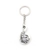 [49ers] Hawaii Keychain Souvenir Fish Hook Sea Turtle Manaiacalani Set