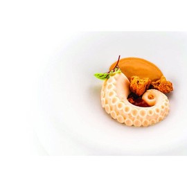 silikomart Octopus 20 - Silicone Mould No.12 60X55 H20MM