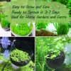 Premium Aquarium Plant Seeds for Planting – 13,000+ Live Mixed