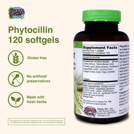 Herbs Etc. Phytocillin - Respiratory & Digestive Health Support Supplement - Herbal Formula to Support Digestion - Support Healthy Breathing - 120 Softgels (120 Servings)