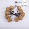 Decorative String Lights Plug in with 10 Incandescent Bulbs, Natural