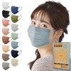 Iris Ohyama APN-60LXF Mask, Non-woven Fabric, Pleated Mask, Color Mask,