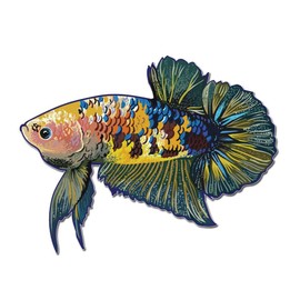 Koi Betta Fish 3 inch Full Color Indoor Outdoor Vinyl Decal
