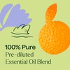 Plant Therapy Tranquil Essential Oil Blend 100% Pure, Pre-Diluted Roll-On,
