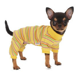 LOPHIPETS - Pijama para perros pequeños, ropa de té, Chihuahua, Yorkie, cachorro, gato, ropa amarilla/XXS