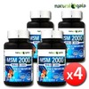 MSM 2000 Dietary Sulfur for Joint, Knee, and Cartilage Health