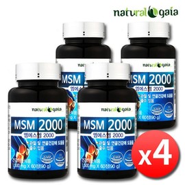 MSM 2000 Dietary Sulfur for Joint, Knee, and Cartilage Health - 4 Bottles / MSM 2000 엠에스엠 식이유황 관절 무릎 연골 건강 4병