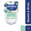Labello Labellino Lip Balm Coconut Aloe Vera