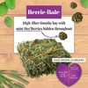 LAFEBER'S Berrie-Bale Mint for Rabbits 1 lb