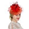 Women Fascinator Veil Hat Flower Feather Mesh Net Veil Bridal