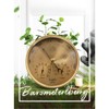 Dial Barometer Thermometer Hygrometer (Gold) Metal+ABS+Acrylic for Home, Wall Decor,