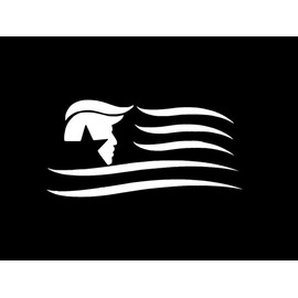 Patriot Flag Trump MKR Decal Vinyl Sticker |Cars Trucks Vans Walls Laptop|White|5.5 x 2.9 in|MKR1134