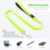 Colaseeme LED Dog Lead Green with 3 Reflective Wires