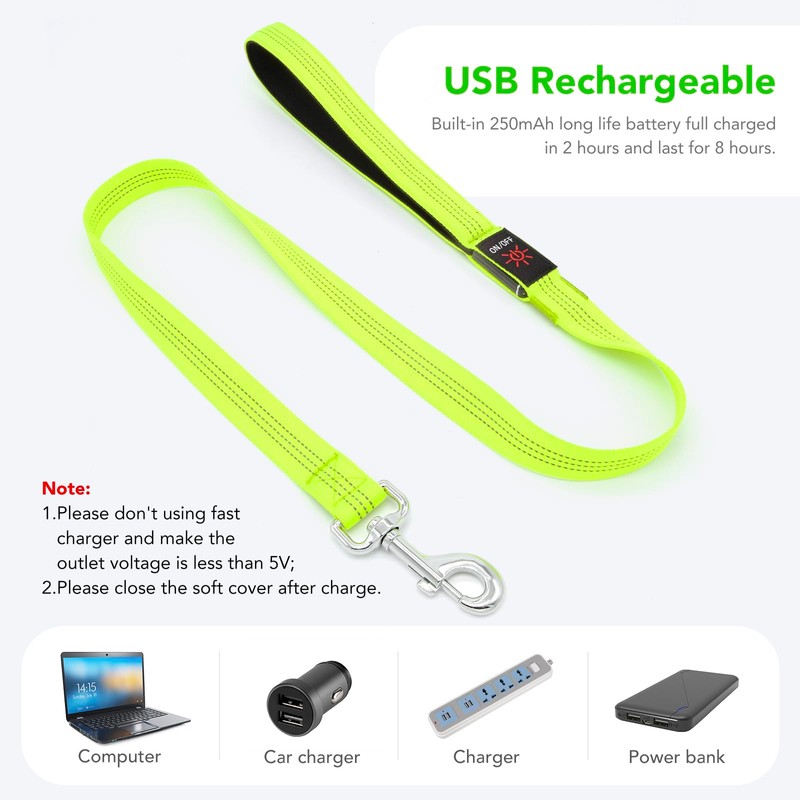 Colaseeme LED Dog Lead Green with 3 Reflective Wires