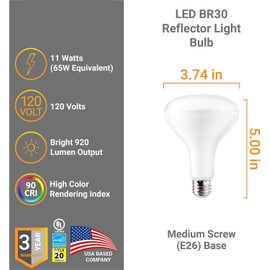 Diodesy- BR30 LED Light Bulbs Pack of 4 11W (65W Equivalent) Recessed Can Light Bulb Indoor Wide Flood Reflector E26 Medium Base Dimmable 920LM 5000K Bright White for Home Kitchen Bedroom UL Listed