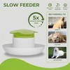Dog Slow Feeder Bowl – Interactive Puzzle Feeder for Dogs